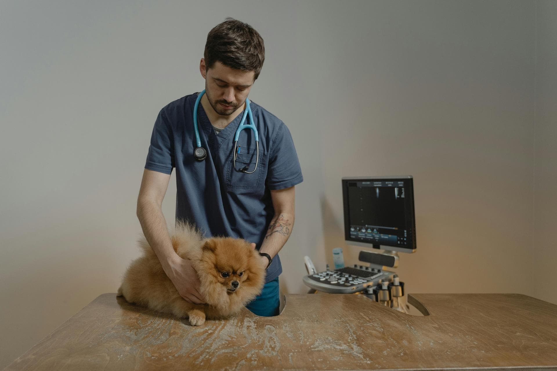 Best Vets in Mount Juliet